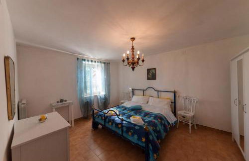 Agriturismo Podernuovo - Foto 40