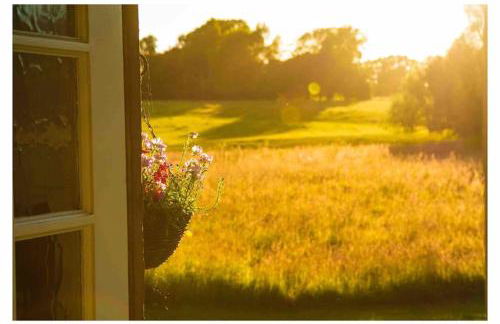 Mountbatten Shepherds hut & Buckhurst Shepherds hut - Foto 6