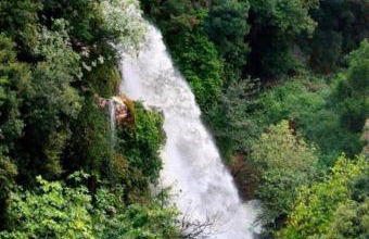 Sofia's Bella Vista Pagoi - Photo 76