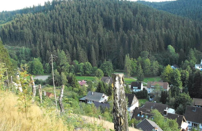 Apartment in Wildemann Near Hahnenklee Ski Area - Foto 29