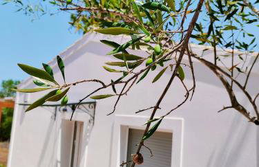 The Old Stables Apartment - Foto 18