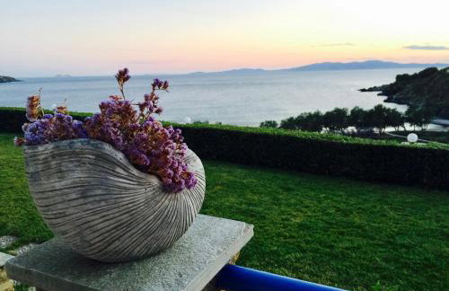 Meltemi Tinos - Foto 63