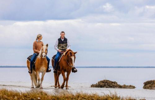 860 Sabal Ct - Photo 11