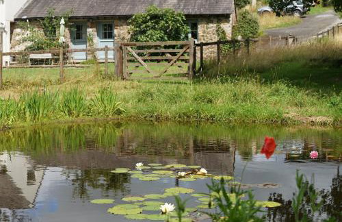 Dandelion Cottage, Amroth - Foto 23