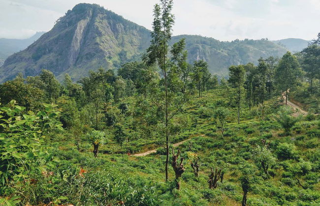 Tour privado por Ella - Foto 1