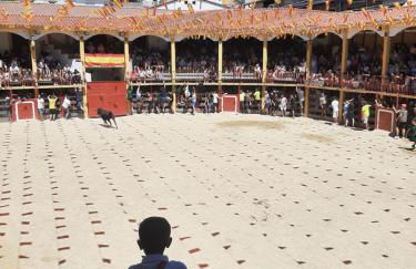 El portal de Beni - Foto 15