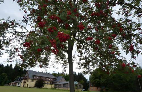 Gemütliche Ferienwohnung in Holzhau - Foto 18