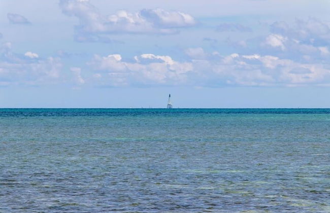 Updated Unit With Beautiful Florida Bay Sunsets 1 Bedroom Condo by RedAwning - Photo 41