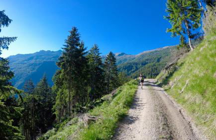 Residence Karpoforus - Photo 38