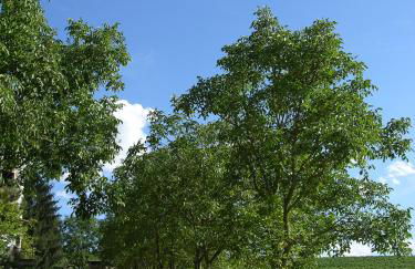 Agriturismo La Mussia - Foto 138