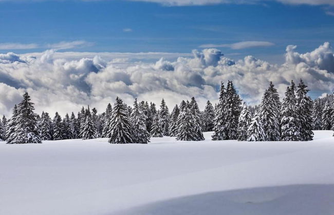 Cozy Stay Near Aletsch - Foto 42