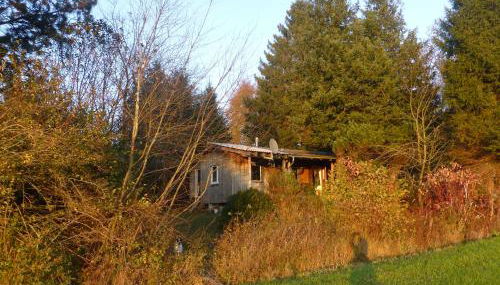 Sommerstall - Foto 4, Garden