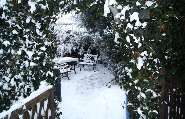 Landhaus Ferienwohnung in Gorow - Photo 17