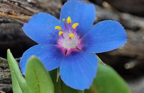 Studio Views Apartment, Cortijo Fruitful Hills - Photo 55