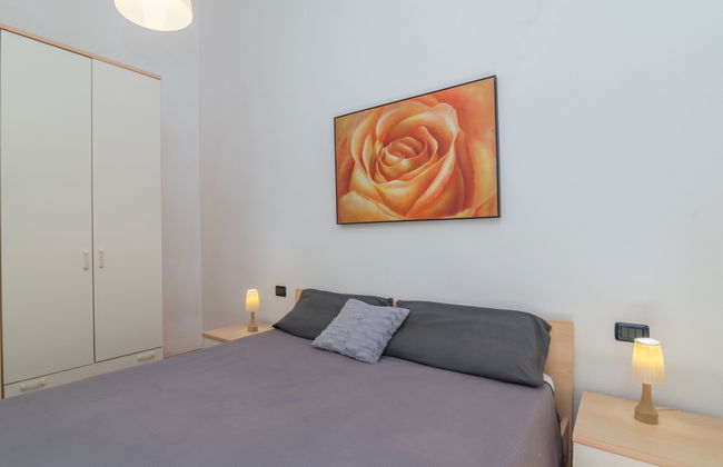 Corbezzolo - Foto 12