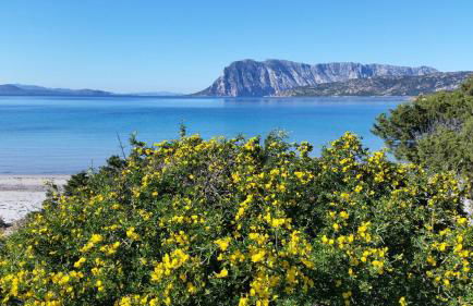 Agriturismo La Casa delle Fate - Photo 31