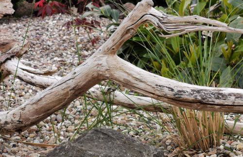 Ferienwohnung "An den Wiesen" - Foto 1