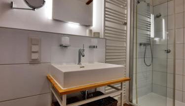 Lachmöwe by DeJu -4 Sterne DTV-Klassifizierung- - Foto 3