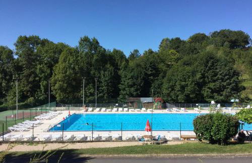 Luxe,piscine,jacuzzi,moulin historique en pierres entièrement rénové - Foto 52