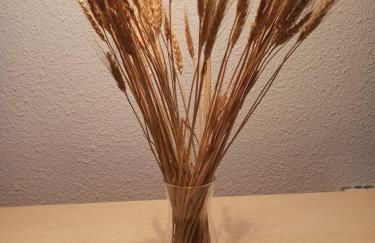 Chamrousse - Résidence Le Vernon - Foto 9