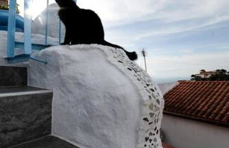 Petit Sunset - Photo 25