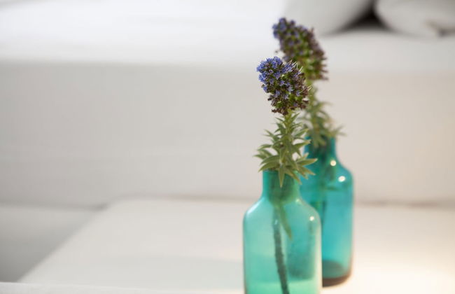 Plan B Holidays - Foto 5