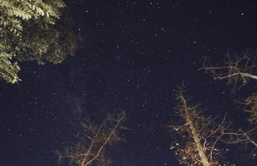 Cabanas dos Plátanos - Foto 67