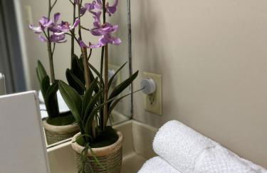 Red River Retreat - Foto 17