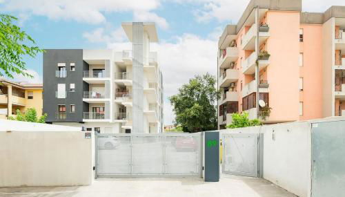 Holiday Camelia - Foto 2