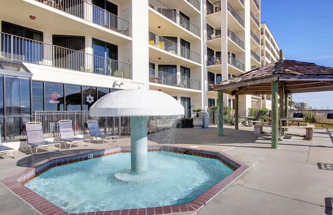 Phoenix X #1011 - Foto 22