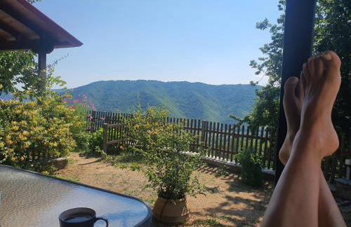 Morchella MushROOM - Foto 20