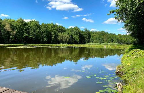 Dom w lesie przy stawach - Foto 60