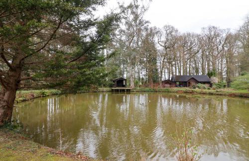 Woodpeckers - Photo 26