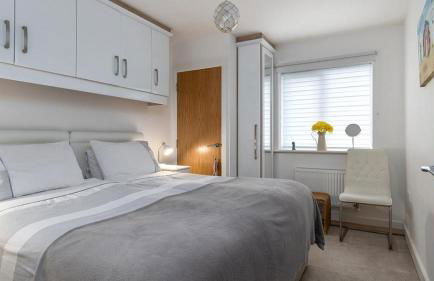 Seahorses - Photo 17