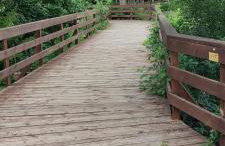 LAZARÓWKA - RYBNO - Foto 17