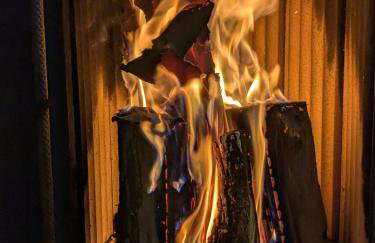 Badischer Neubau-Ruhe-Kunst-Natur - Foto 2