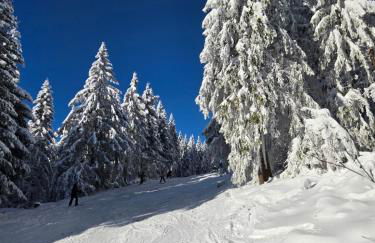 Ochsenkopf-apartment - Foto 21
