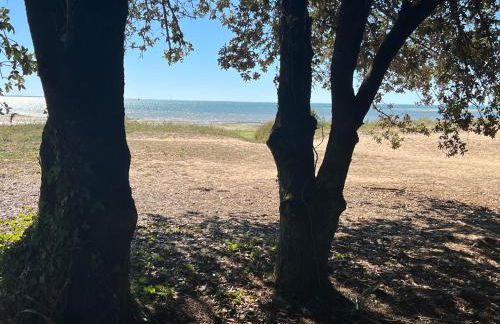 Ostréane-en-Ré - Foto 23