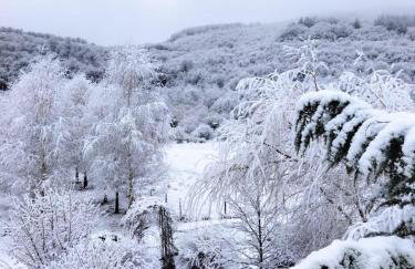 Kuća za odmor Sichelberg - Foto 28
