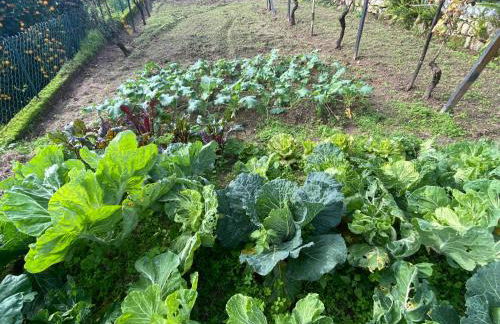 Casa de Santiago - Foto 27