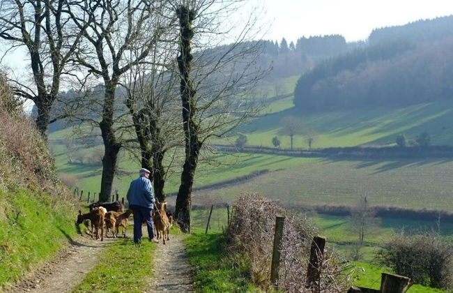 Nice Apartment in Olsberg - Foto 3