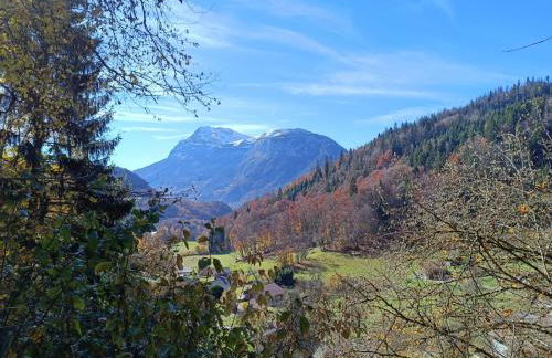 Chalet paisible à 4km de la station des Carroz - Chalet St François de Sales - Foto 27
