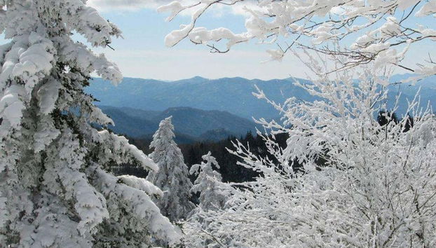 Brand New Hot Tub Axe Throwing Firepit Arcade - Foto 5, Habitación