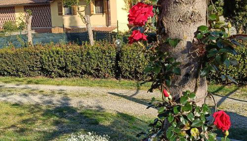 CASA ORNETO - Foto 2