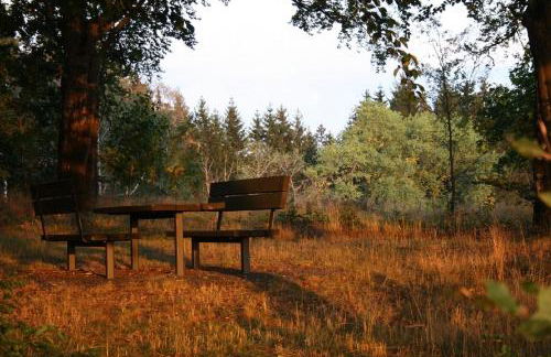 Apartment am Buchenhain - Foto 13