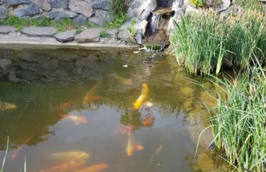 Wohlfühlen am Gartenteich - Foto 29