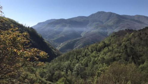 Vicinato Homestead - Foto 5