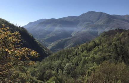 Vicinato Homestead - Foto 5