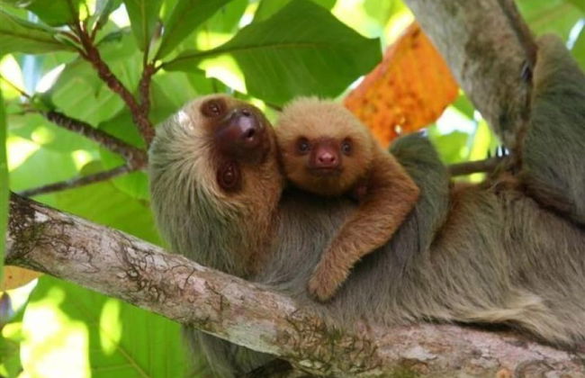 Vista Oceana, Stunning Ocean View Villa - Foto 52