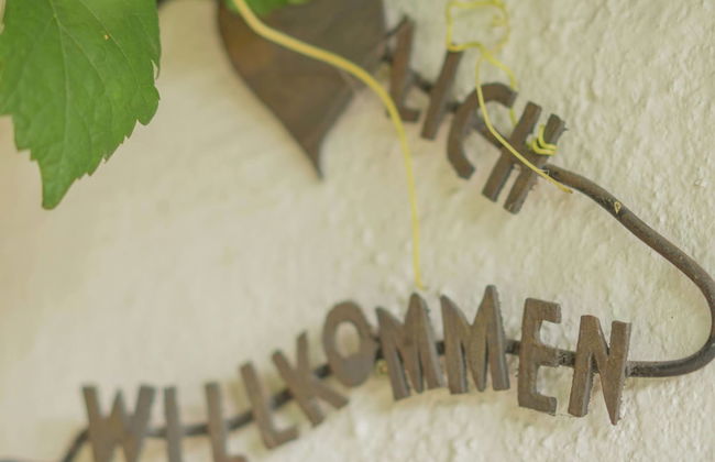 Animal -friendly Apartment in Leogang - Foto 13